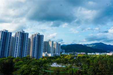 2025富锦半程马拉松举行 5000多名跑者稻田间开跑